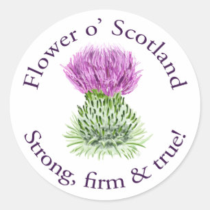 Sticker Rond Fleur de l'Ecosse. Fort, ferme et vrai !