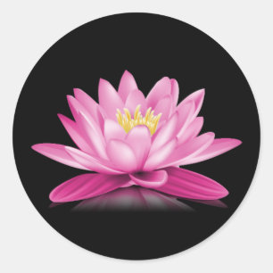 Sticker Rond Fleur de lotus de roses indien sur l'arrière -