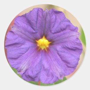 Sticker Rond Fleur de robe de velours