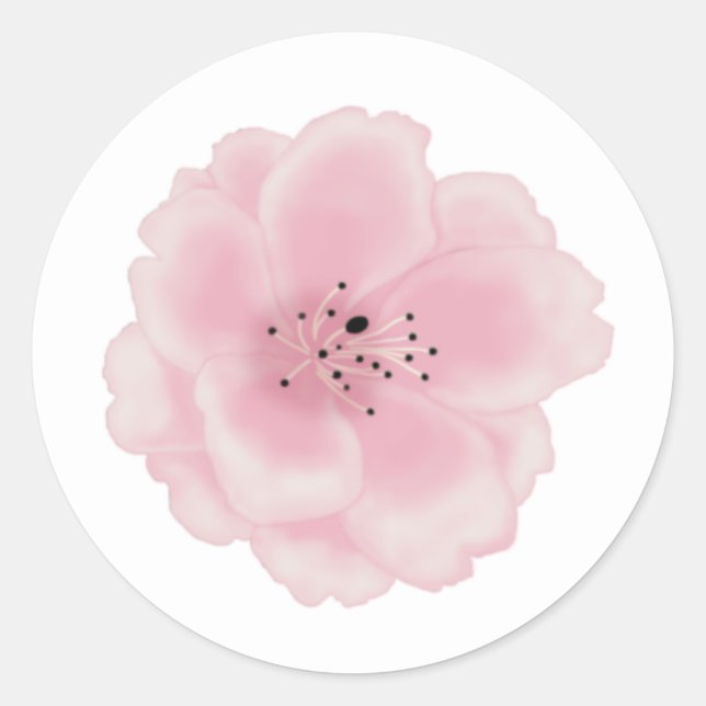 Sticker Rond Fleur de sakura rose. (Devant)