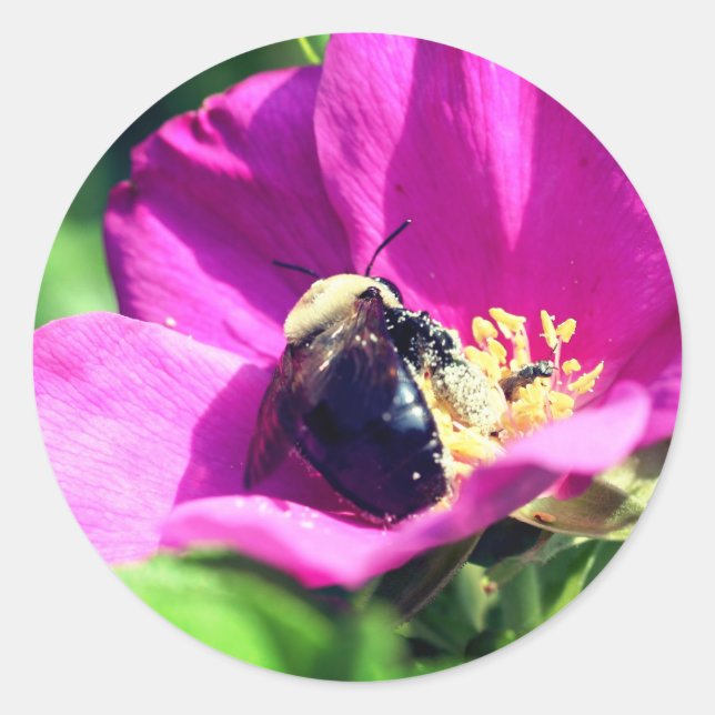 Sticker Rond Fleur des abeilles à double usage (Devant)