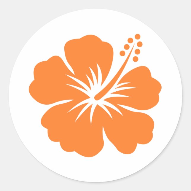Sticker Rond Fleur d'hibiscus orange (Devant)