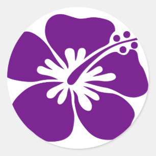 Sticker Rond fleur d'hibiscus pourpre aloha