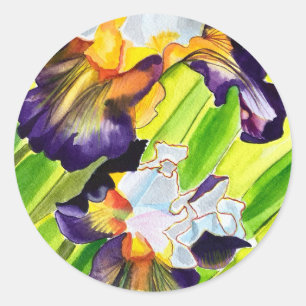 Sticker Rond Fleur d'iris floral aquarelle