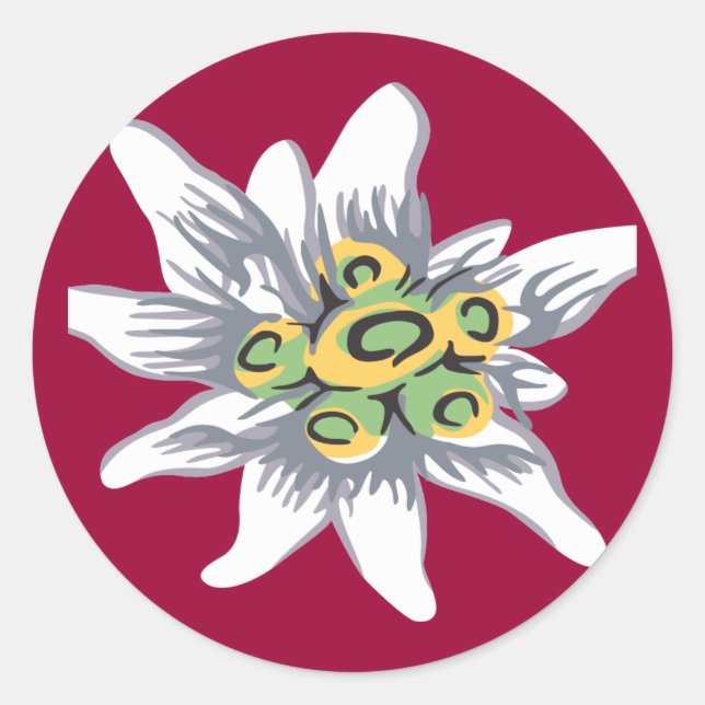 Sticker Rond Fleur Edelweiss (Devant)