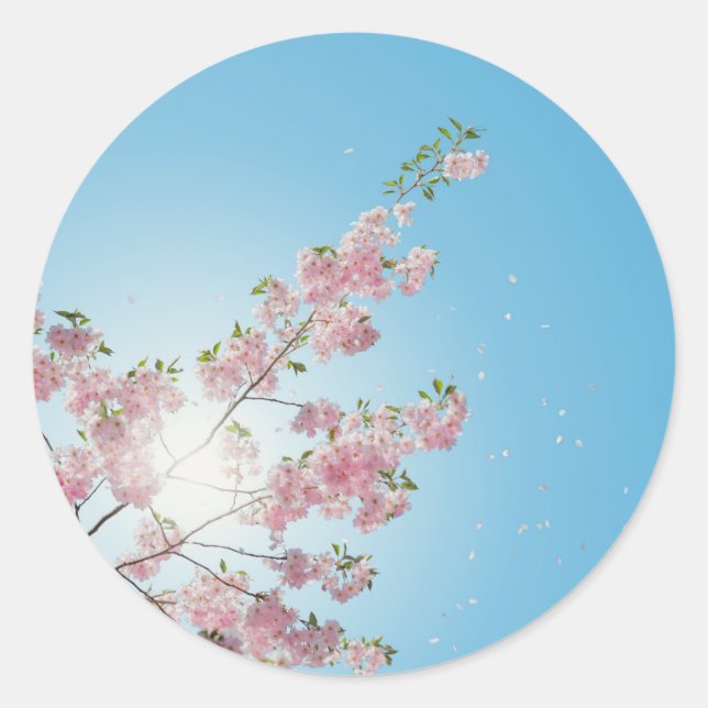 Sticker Rond fleur en fleurs en gros plan (Devant)