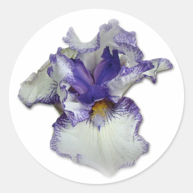 Sticker Rond Fleur Iris à fond bleu et blanc (Devant)