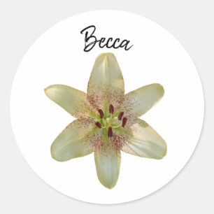 Sticker Rond Fleur Lily Jaune Spectrée Personnalisée