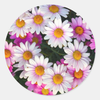 Sticker Rond Fleur marguerite