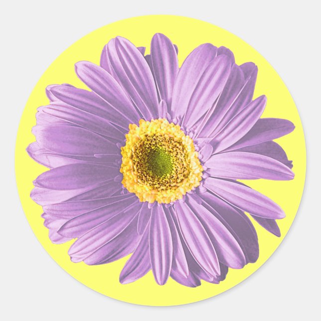 Sticker Rond Fleur marguerite violette (Devant)