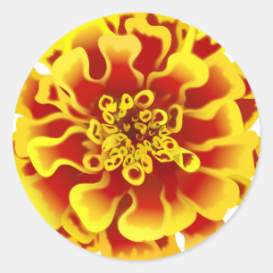 Sticker Rond Fleur Marigold
