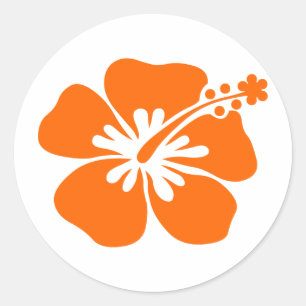 Sticker Rond Fleur orange de ketmie