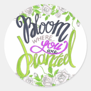 Sticker Rond Fleur Où Vous Êtes Plantés