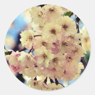 Sticker Rond Fleur rose de printemps
