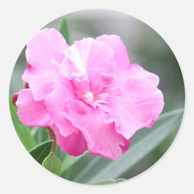 Sticker Rond Fleur rose pâle (Devant)