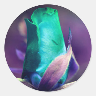 Sticker Rond Fleur Rosebud Turquoise Abstraite