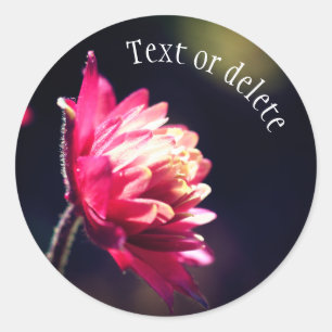 Sticker Rond Fleur rouge soleil Personnalisé