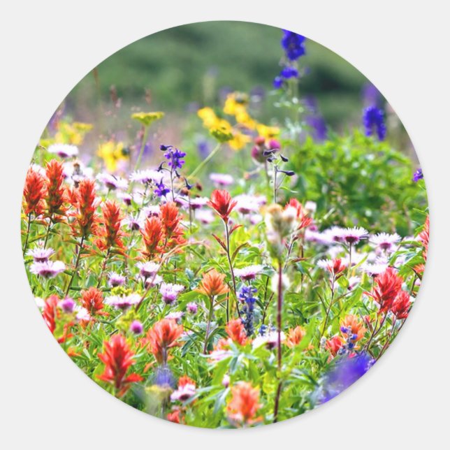 Sticker Rond Fleur sauvage (Devant)