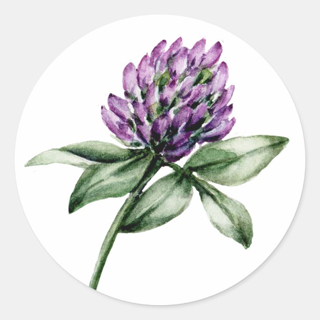 Sticker Rond Fleur sauvage Clover pourpre Buve (Devant)