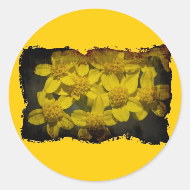 Sticker Rond Fleur sauvage jaune (Devant)