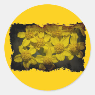 Sticker Rond Fleur sauvage jaune