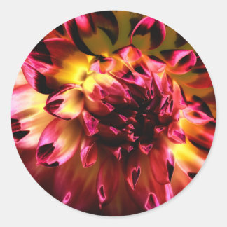 Sticker Rond Fleur unique et dynamique