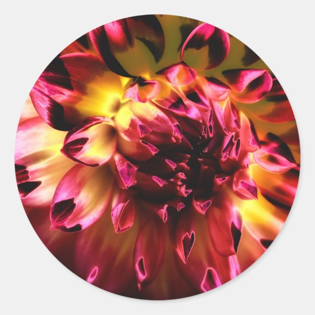 Sticker Rond Fleur unique et dynamique (Devant)