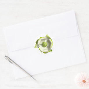 Sticker Rond Fleur verte blanche Fleur d'été Jardin Mariage