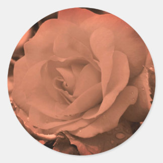 Sticker Rond Fleur vintage de Rose Sepia