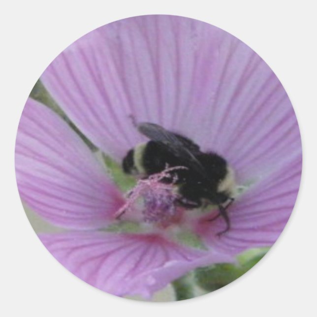 Sticker Rond Fleur violet clair avec abeille (Devant)