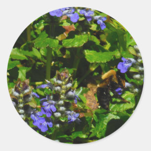 Sticker Rond Fleur violette et abeille boursouflante