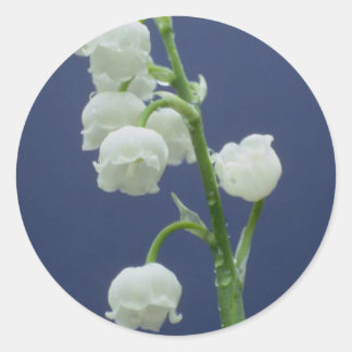 Sticker Rond Fleurs 110