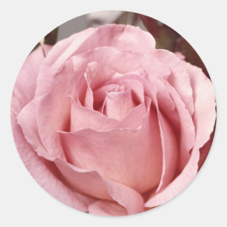 Sticker Rond Fleurs 137