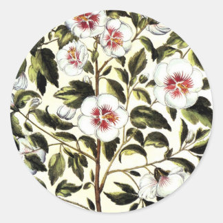 Sticker Rond Fleurs blanches