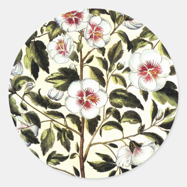 Sticker Rond Fleurs blanches (Devant)