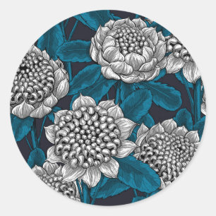 Sticker Rond Fleurs blanches de waratah