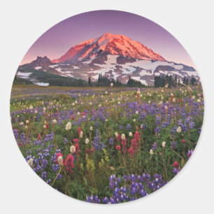 Sticker Rond Fleurs colorées en parc national plus pluvieux