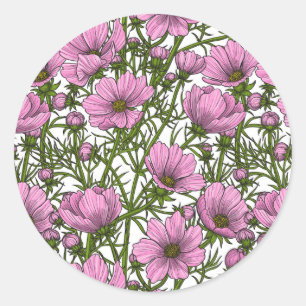 Sticker Rond Fleurs Cosmos roses