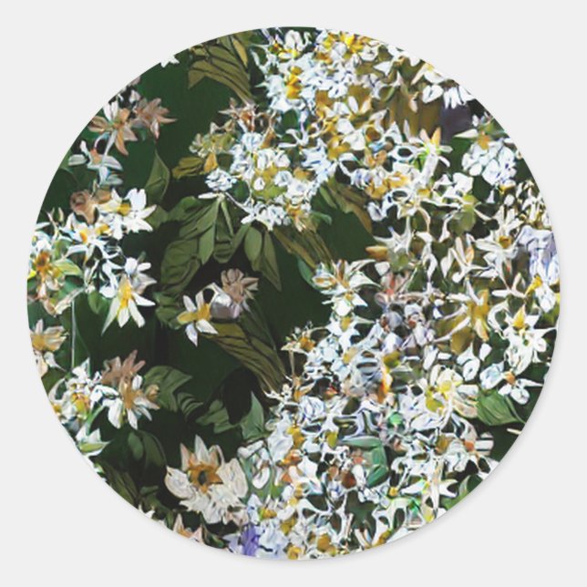 STICKER ROND FLEURS D'ASTER (Devant)