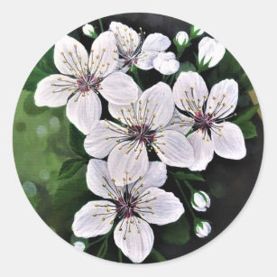 Sticker Rond Fleurs De Cerise Blanche Art En Acrylique