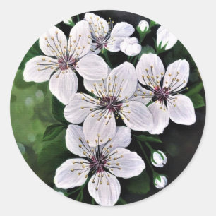 Sticker Rond Fleurs De Cerise Blanche Art En Acrylique