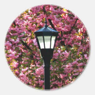 Sticker Rond Fleurs de cerisier Lampe victorienne Post Pittores
