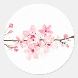 Sticker Rond Fleurs de cerisiers