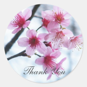 Sticker Rond Fleurs de cerisiers - A