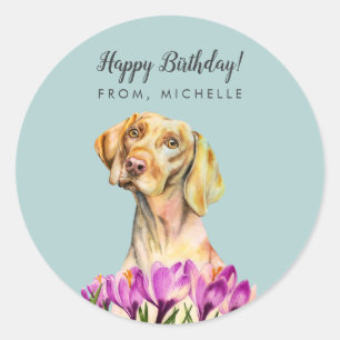 Sticker Rond Fleurs de Chien Vizsla   Joyeux anniversaire
