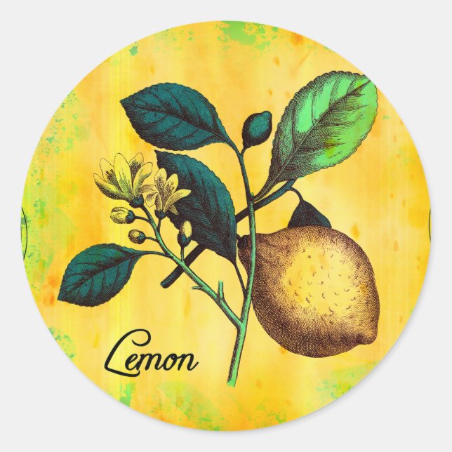 Sticker Rond Fleurs de citron Feuille Vintage Botanique (Devant)