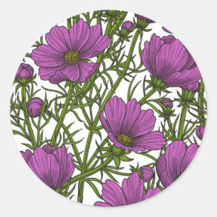 Sticker Rond Fleurs de cosmos violet