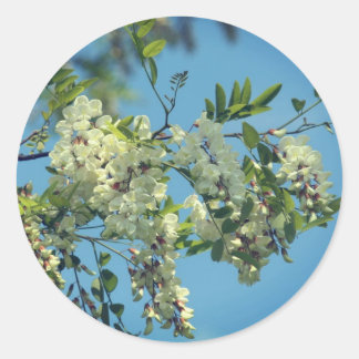 Sticker Rond Fleurs de criquets