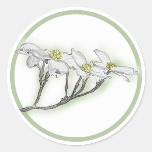 Sticker Rond Fleurs de Dogwood