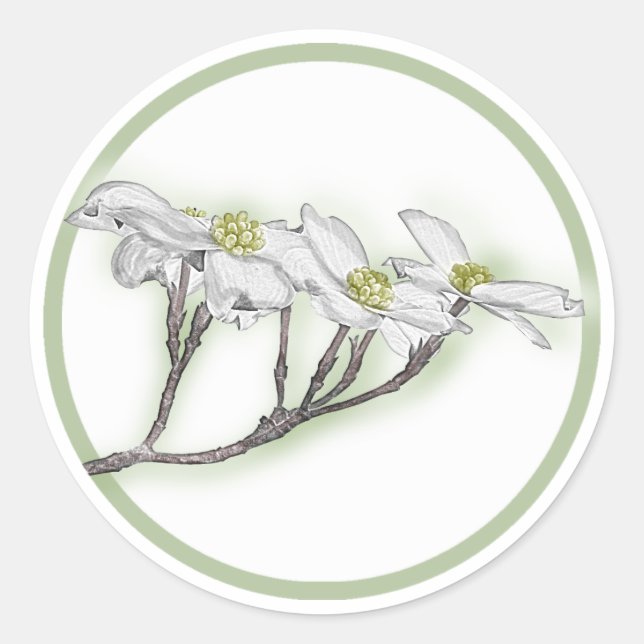Sticker Rond Fleurs de Dogwood (Devant)